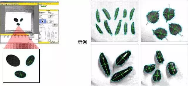 微信图片_20210813143533.jpg